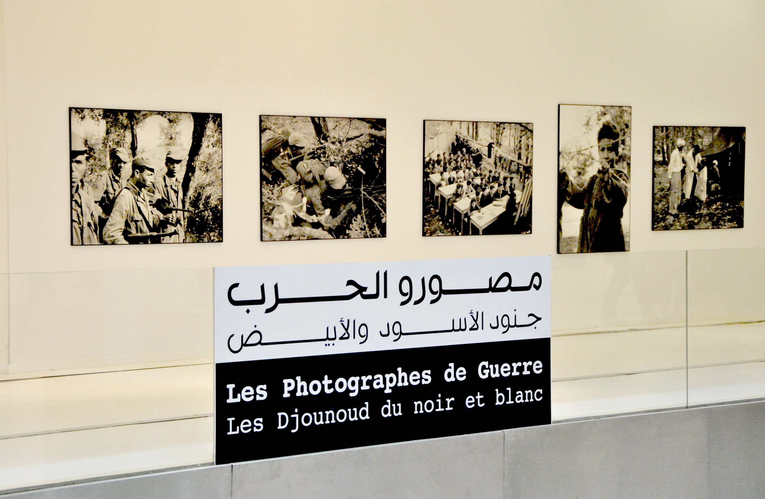 Exposition «Les Photographes de Guerre au Musée d’art moderne et contemporain d’Alger